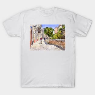 Alongside the Rio Darro, Granada, Spain T-Shirt